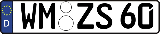 WM-ZS60