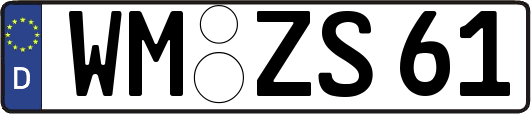 WM-ZS61