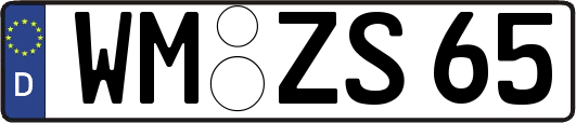 WM-ZS65