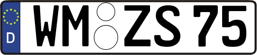 WM-ZS75