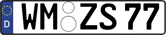 WM-ZS77