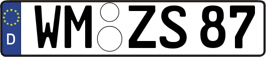 WM-ZS87