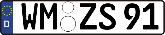 WM-ZS91