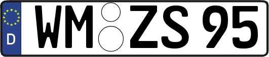 WM-ZS95