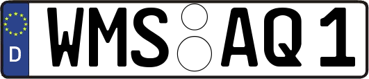 WMS-AQ1