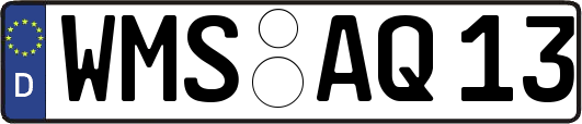 WMS-AQ13
