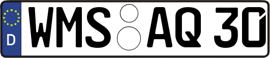 WMS-AQ30