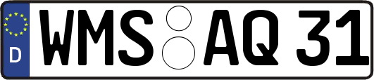 WMS-AQ31