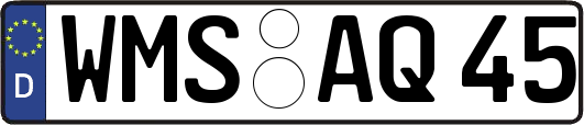 WMS-AQ45
