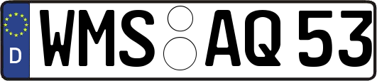 WMS-AQ53