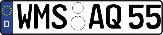 WMS-AQ55
