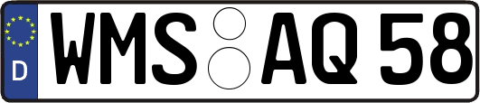 WMS-AQ58