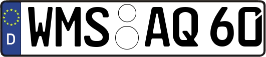 WMS-AQ60