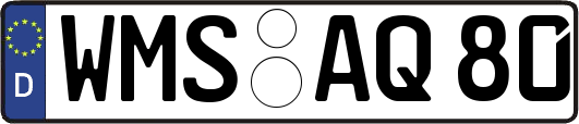 WMS-AQ80