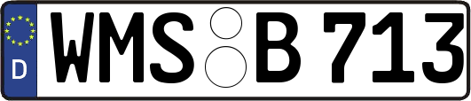 WMS-B713