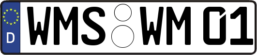 WMS-WM01