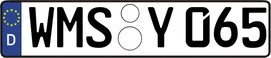 WMS-Y065
