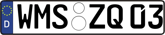 WMS-ZQ03