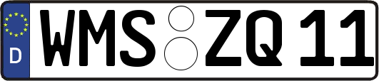 WMS-ZQ11