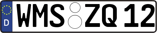 WMS-ZQ12