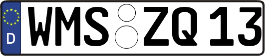 WMS-ZQ13