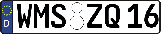 WMS-ZQ16