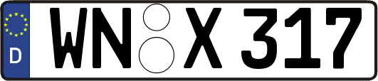 WN-X317