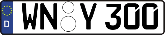 WN-Y300