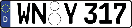 WN-Y317