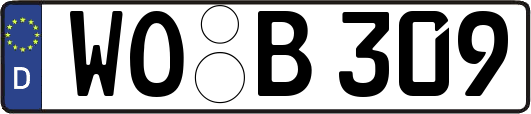WO-B309
