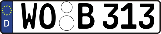 WO-B313