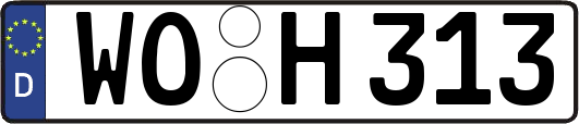WO-H313