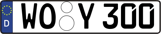 WO-Y300