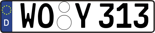 WO-Y313