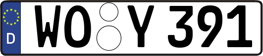 WO-Y391