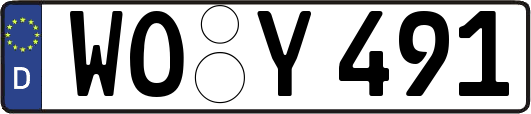 WO-Y491
