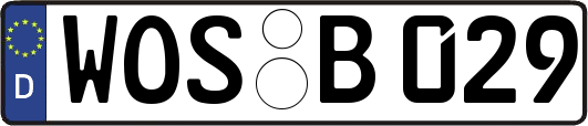WOS-B029