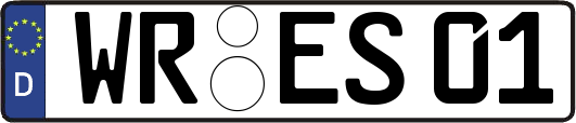 WR-ES01