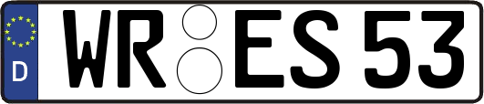 WR-ES53