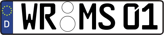 WR-MS01