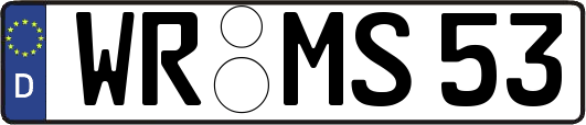 WR-MS53
