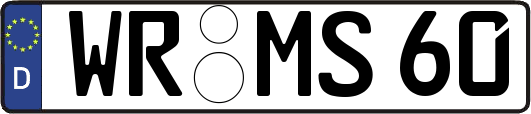 WR-MS60