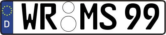 WR-MS99