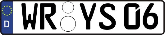 WR-YS06