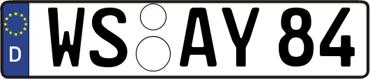 WS-AY84