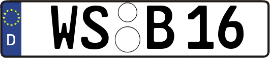 WS-B16