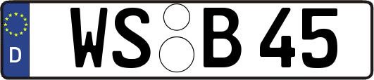 WS-B45