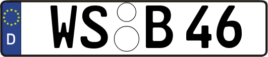 WS-B46