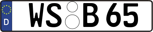 WS-B65