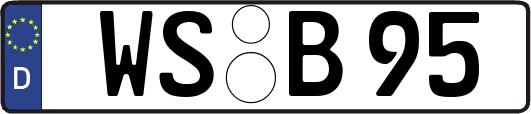 WS-B95